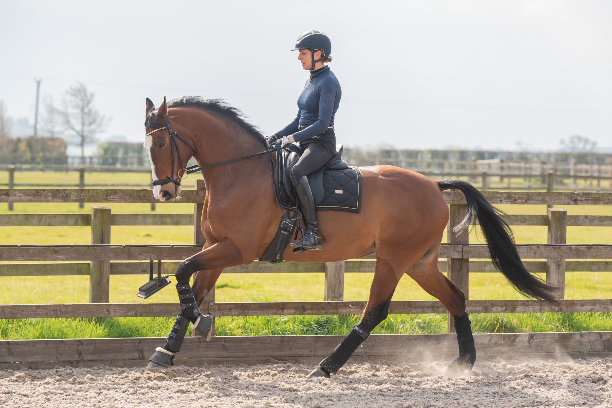 Horse Livery Armada Stud